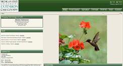 Desktop Screenshot of msu.casscountymi.org